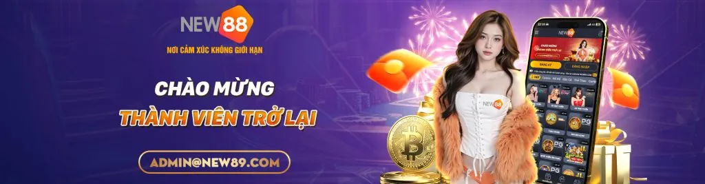 Hình ảnh mô tả thỏa thuận pháp lý và quyền của người dùng trên 888now66