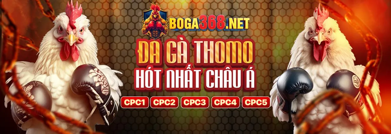 Khuyến mãi và Tiền thưởng 888now66