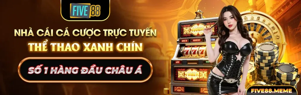 Đội ngũ chuyên gia của 888now66